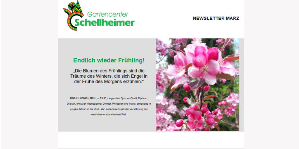 Newsletter Schellheimer